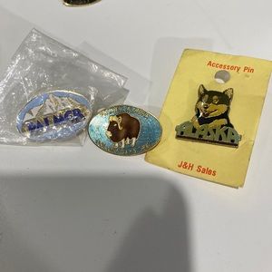 Vintage Palmer Alaska pins